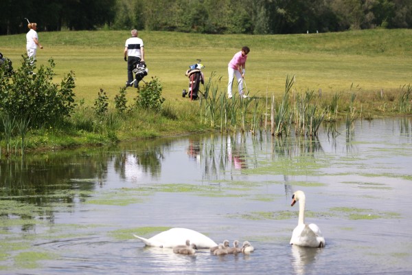 Low spill golf package at Aparthotel Delden