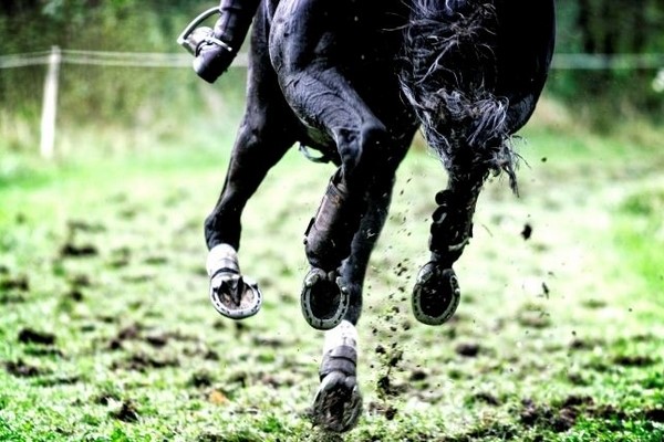 Hotel Package Eventing Military Boekelo Aparthotel Delden, Hotel in the Hof van Twente